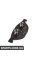 Гальмівні дискові колодки, к-кт. BREMBO P06058