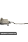 Соленоїд замку 5-ї двері SMART 0004955V004