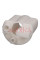 Фильтр топливный ASHIKA 300KK23