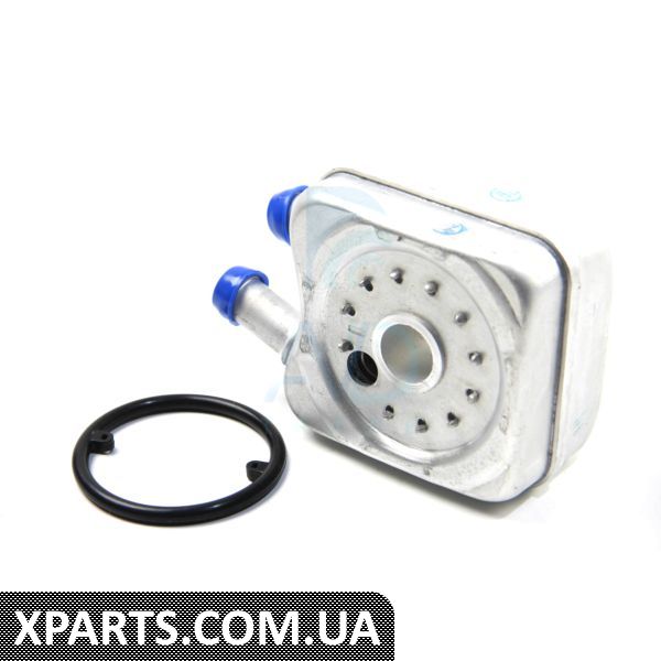 1113500700 JPGROUP Радіатор олії 2.5TDI LT 96-06/T4 98-03/Crafter 06- (під фільтр)