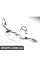 12606 RAPRO Паливна трубка Megane/Scenic 1.5 DCI 02-