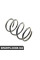 14101549 CSGERMANY Пружина передня BMW 3 (E46) 00-05
