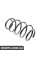 14876507 CSGERMANY Пружина передня Nissan Qashqai 06-