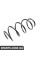 14877029 CSGERMANY Пружина передня Renault Megane III 1.4/1.5dCi/1.6 09-