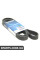 7DPK1697 DAYCO Ремінь генератора BMW F10 N57 09-16