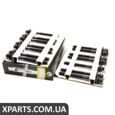 BK5316 BGA Болті головки блоку BMW 3-7 (E34/E39/E46E60/E61) X3/X5/Omega B 2.5TDI 99- (к-кт)