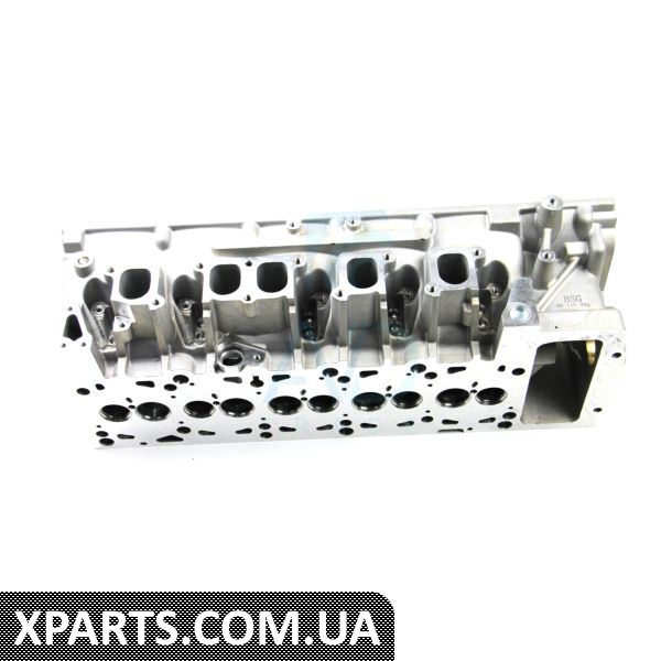BSG90110003 BSG Головка блока циліндрів T5 2.5TDI 04-09