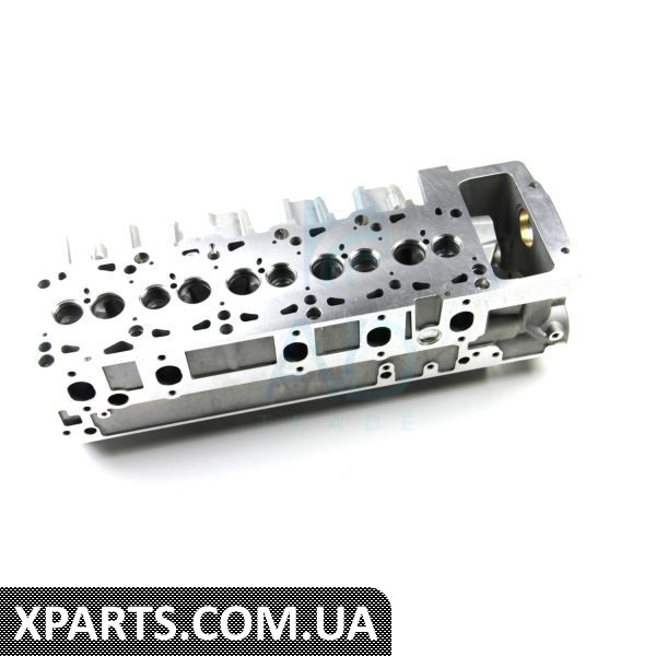 BSG90110003 BSG Головка блока циліндрів T5 2.5TDI 04-09