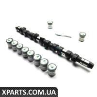 CS3381K BGA Розподільний вал LT 2.5TDI (AGX/AHD/ANJ/APA)/T4 2.5TDI (AUF/AXG/ACV) к-кт