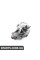 PA1394 SALERISIL Водяний насос Transit 2.2TDCi 06-(з корпусом)