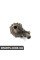 PA1394 SALERISIL Водяний насос Transit 2.2TDCi 06-(з корпусом)