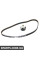 ZK1041 AUTLOG Комплект ГРМ Caddy 95-04 1.4i (рем. Conti CT846)