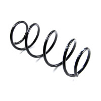 Пружина передня Renault Megane II, Scenic II (73732) ASAM 73732