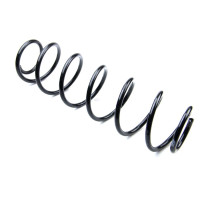 Пружина задня Renault Laguna II (73750) ASAM 73750