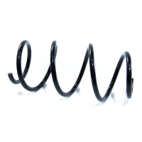 RENAULT Пружина передняя Laguna III 07-  ASAM 75976