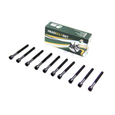 Болти головки блоку Q7/Touareg 4.2FSI 06- (к-кт) BGA BK0105