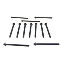 Болты головки блока Astra j/Corsa D 1.4 09- (к-кт)  BGA BK9600