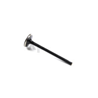 Клапан выпуск. A3/A4/A6/OCTAVIA/GOLF IV/PASSAT 1.8/2.8D  94-08  BGA V033438