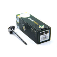 Клапан впуску. BMW 1/3/5/X3 07-дв. N47D20 BGA V166200