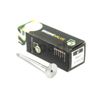 Клапан двигуна BGA V560011