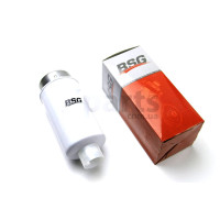 Фільтр паливний Transit (V184) 2.0/2.4 TDCi 11.04-06 BSG BSG30130010