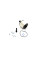 Фільтр паливний Duster/Dokker/Sandero/Logan 1.5dCi 12- CLEANFILTERS MG3611