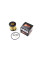 Фільтр мастила BMW 1.6/1.8/2.0i 01- CLEANFILTERS ML1729