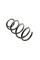 Пружина передня Ducato 17QH/20Q 06- CSGERMANY 14875823