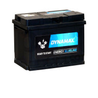 DYNAMAX 10560