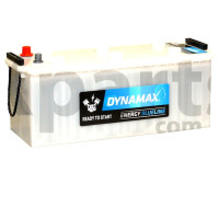 DYNAMAX 10565