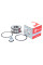 Підшипник маточини перед. Laguna I/Megane I/Safrane (-ABS) NFCEUROPE NFB5495