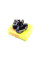 Щіткотримач стартера Caddy II/T4/Fabia/Octavia/Golf III/IV/Passat 1.4/1.9/2.4/2.5 D/TDI -10 POWERMAX 81014316