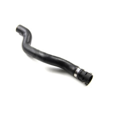 RAPRO R12164