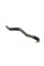 RAPRO R25153