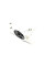 RAPRO R54319