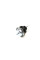 RAPRO R59637