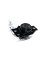 Подушка двигуна Megane II 1.5dCi 05- Пр. RAPRO R59857