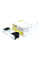 RAPRO R59861