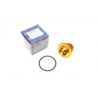 52896 AIC Термостат Seat Ibiza/VW Golf II/III/Jetta II 1.0-1.6 -99 (84°C)