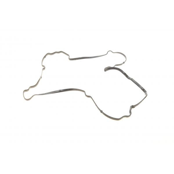 57252 AIC Кришка клапанів Citroen C4/C5 1.6THP 08-/Peugeot 207/308/508 1.6 06- (з прокладкою)