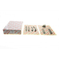 59024Set AIC Комплект ланцюга ГРМ BMW 3 (E46/E91)/5 (E60)/X5 (E53/E70) 2.0D-3.0D 01-13 (z=74/66) (симплекс) M47/M57