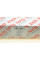 59107Set AIC Комплект ланцюга ГРМ BMW 3 (E90/E91/E92/F30) 5 (E61/F11) X1 (E84) X3 (E83/F25) 2.0D 06-19 B37/N47/N57