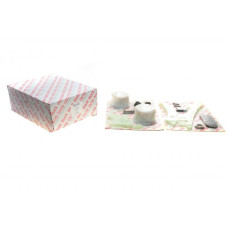 59364Set AIC Комплект ланцюга ГРМ BMW 3 (E92/E93/F30)/5 (E61/F07)/X5 (E70/F15)/X6 (E71) 04-18 (N51/52/53/55)