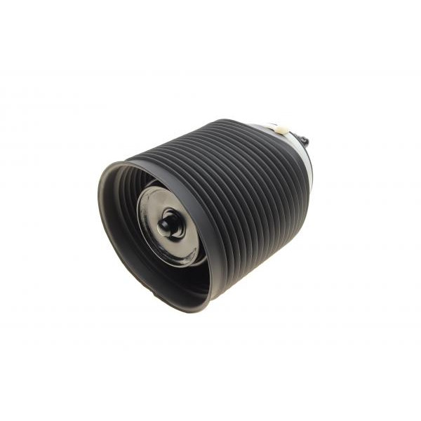 71160 AIC Подушка пневмопідвіски (ззаду) Toyota Land Cruiser Prado 3.0D-4D 02- (R)