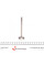 PCIT037A0N AMP Клапан (випуск) Renault Trafic/Opel Vivaro/Renault Laguna 2.0dСi 06- (31.3x7x111.5) (азотування)