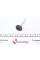 PFIA037A0D AMP Клапан (випуск) Fiat Doblo/Lancia Lybra 1.6 16V 95-05 (29.8x7x102.9) (вальцювання)