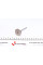 PPEU038S0N AMP Клапан (впуск) Citroen Berlingo/Jumper/Fiat Scudo/Ducato 2.0JTD 01 (35.6x6x107.1) (азотовані)