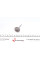 PSKO053S0N AMP Клапан (впуск) VW Caddy III 1.2TSI 10-15 (35.5x6x98.7) (азотовані)