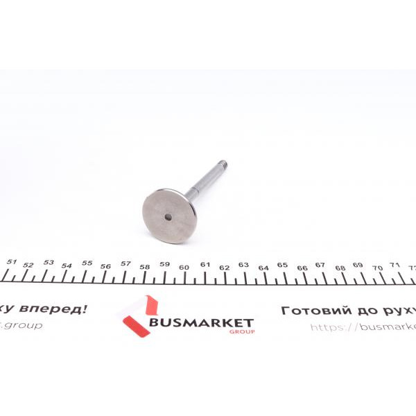 PVWG034A0N AMP Клапан (випуск) VW Caddy/T4 1.9D 92-04 (31.5x7x95.6) (азотовані)