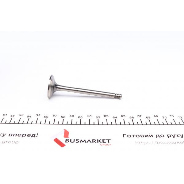 PVWG034A0N AMP Клапан (випуск) VW Caddy/T4 1.9D 92-04 (31.5x7x95.6) (азотовані)